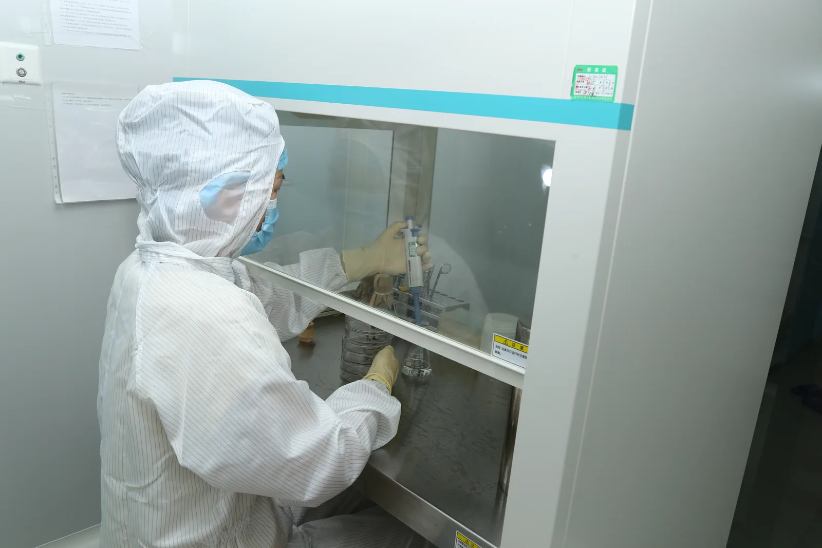 Operators in cleanroom gowning working at a laminar flow bench
